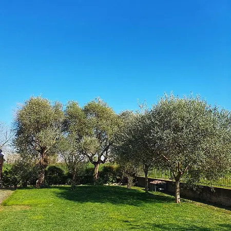 Il Camino Rosso Appartement Sandrigo